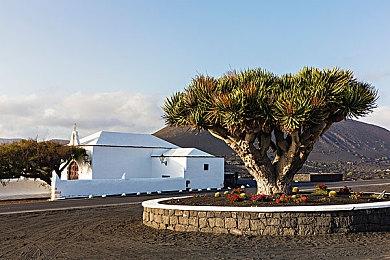 《泰拉瑞亚》国服移动端正式发售 买断制首发价只要12元