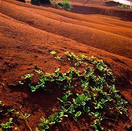 《龙之信条2》最新更新发布 修复部分任务卡死问题